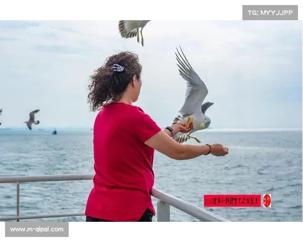 韩国影视明星投资首尔Sisters队掀起娱乐体育融合新热潮